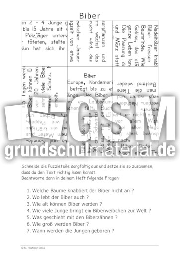 Biber.pdf